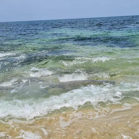 Mae Maria House Vila Cha (Porto)