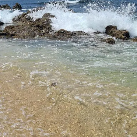 Quarto em Acomodações Particulares Mãe Maria House Pilgrims Santiago Vila Cha (Porto)