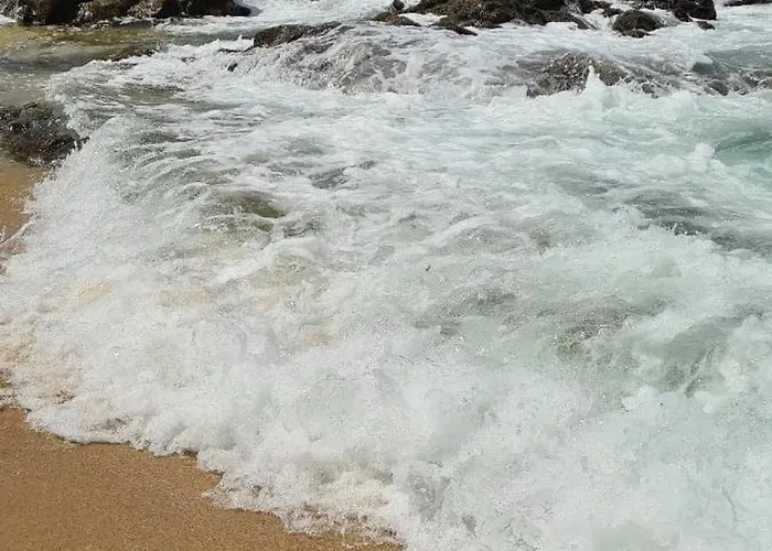 Mae Maria House Vila Cha (Porto)