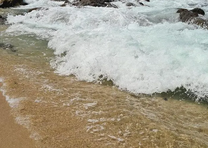 Homestay Mae Maria House