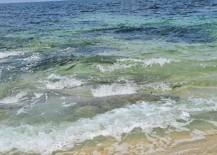 Mae Maria House Vila Cha (Porto)