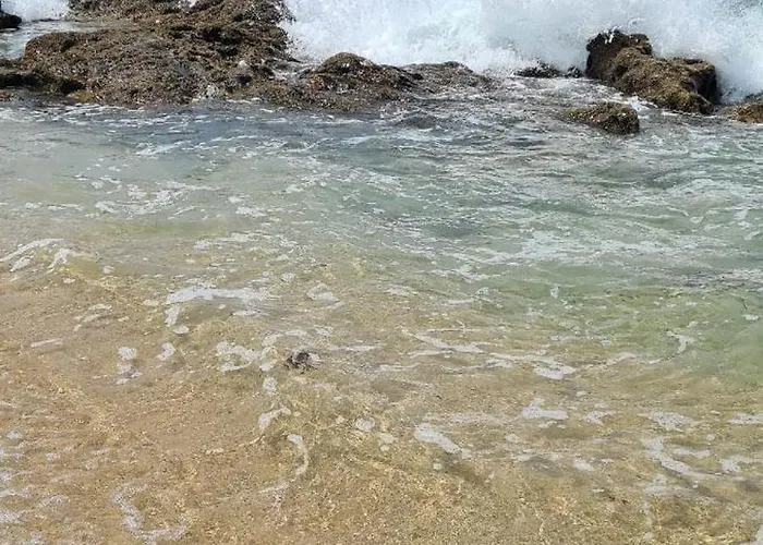 Homestay Mae Maria House Vila Cha (Porto)